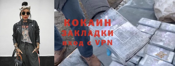 индика Алзамай