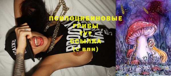ECSTASY Алексеевка