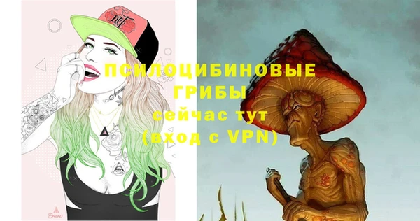 индика Алзамай
